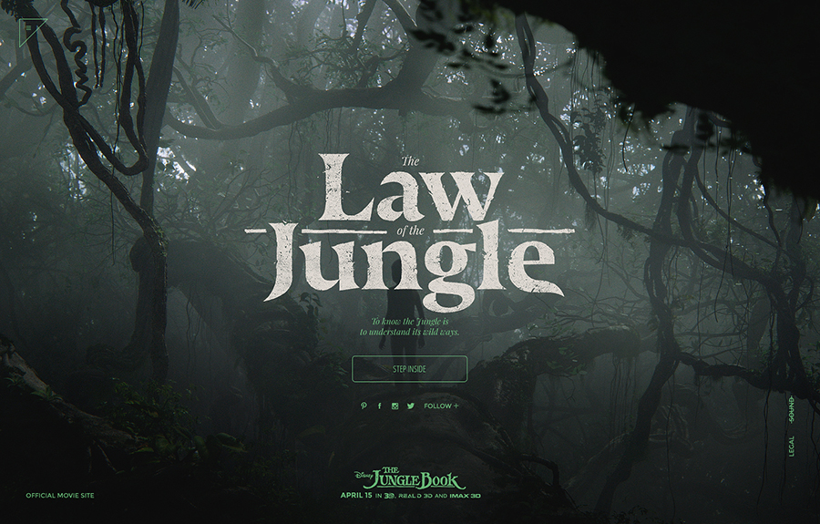 The Law Of The Jungle The FWA