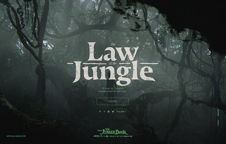 The Law Of The Jungle The Fwa