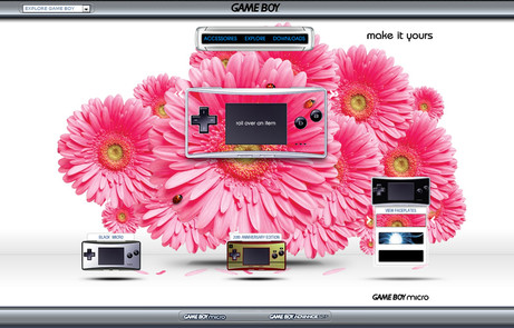 Game Boy micro - The FWA