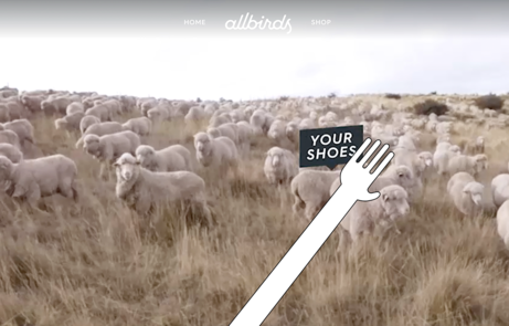 allbirds commercial meet your shoes