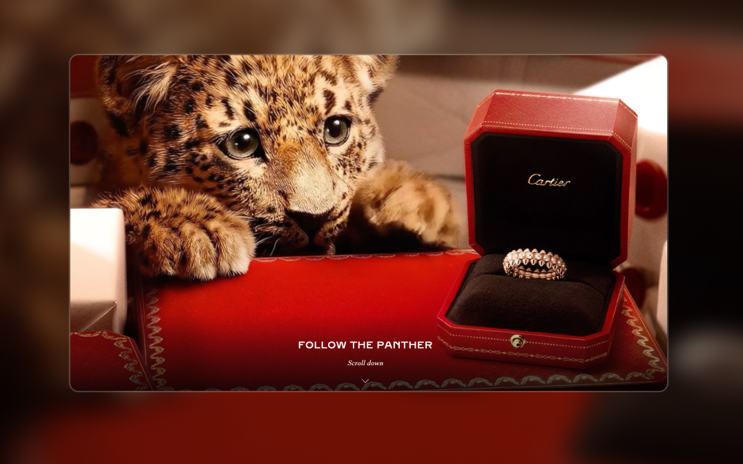 Cartier - Follow the baby panther - The FWA