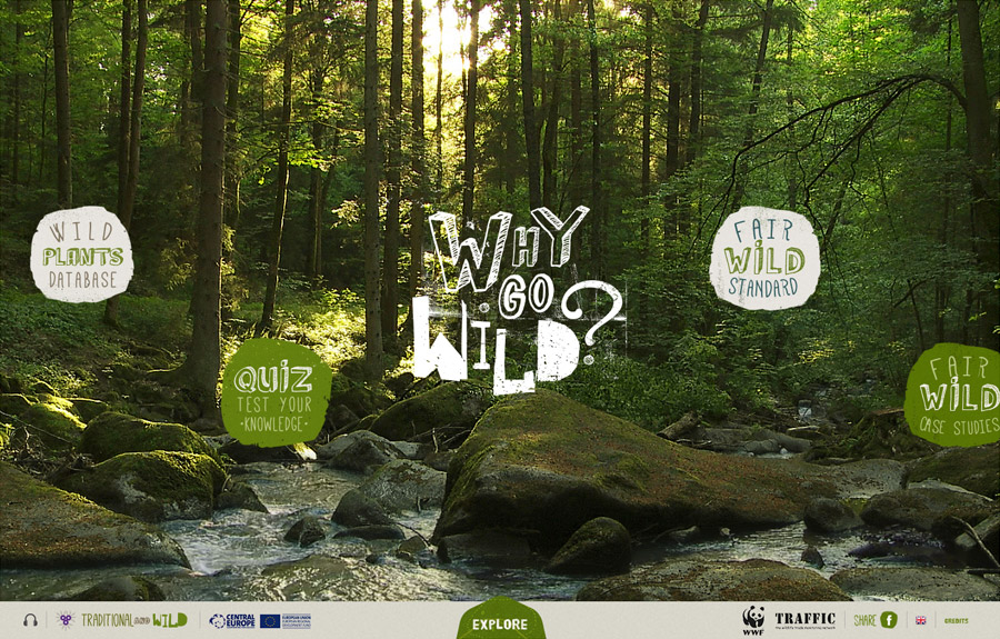 Wwf Why Go Wild The Fwa Wwf Why Go Wild The Fwa