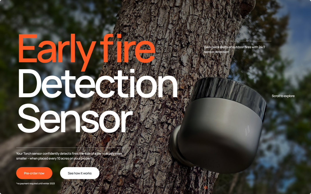 Torch - The FWA