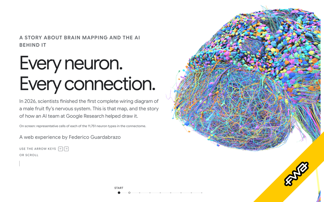 Every Neuron