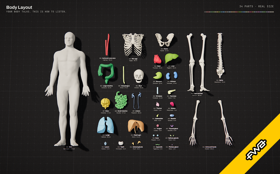 Body Layout