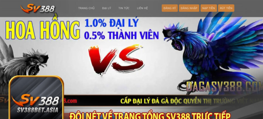 Khám Phá Sân Chơi Cá Cược Đẳng Cấp - Sv388 Có Gì Hot?